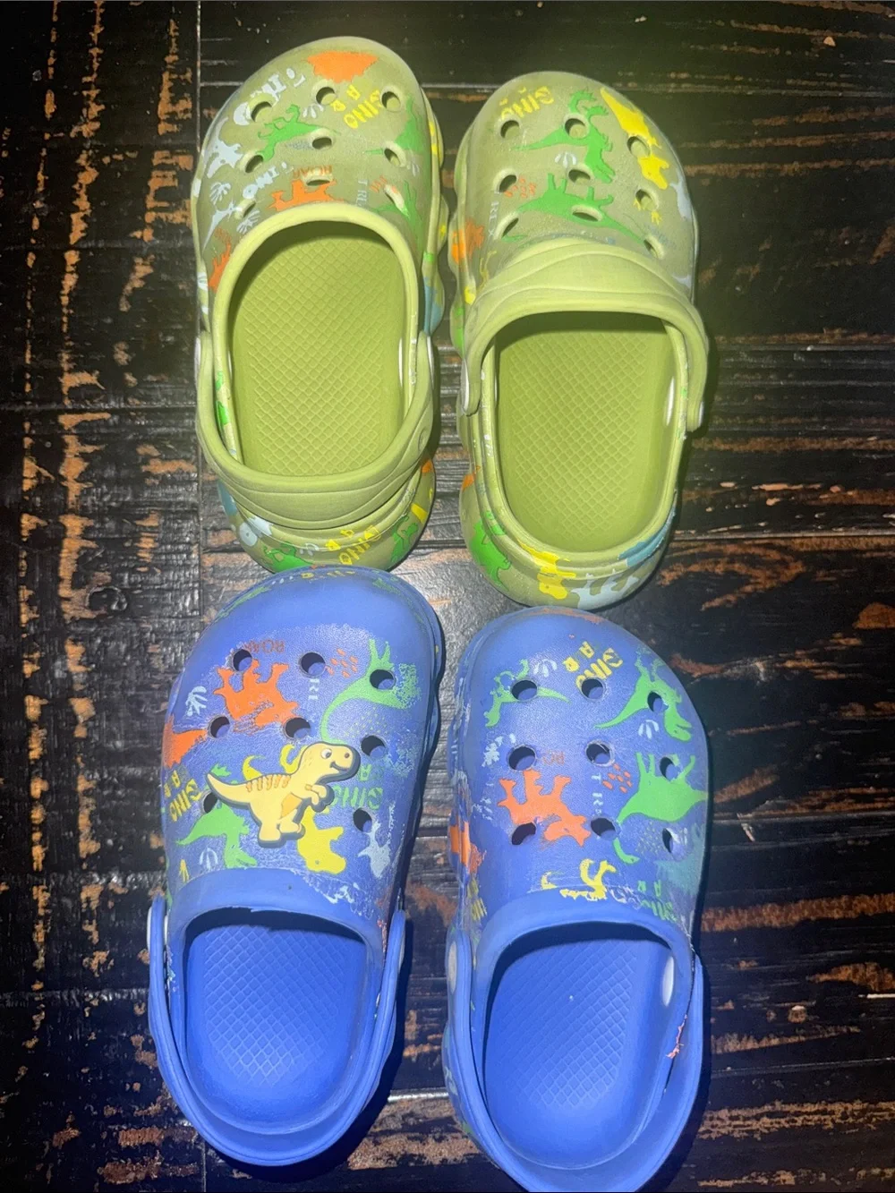 Kids' Dinosaur Clog Shoes - Green and Blue